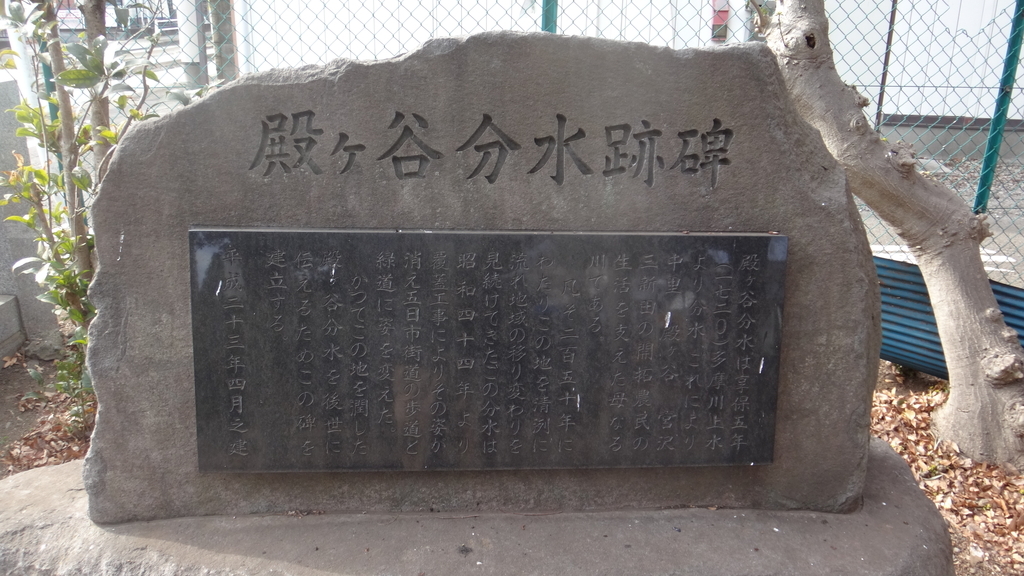 f:id:cafelegume:20190222215602j:plain