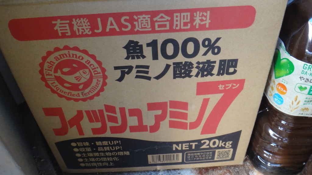 f:id:cafelegume:20190223222524j:plain