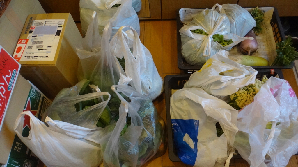 f:id:cafelegume:20190223225307j:plain