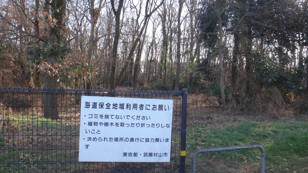 f:id:cafelegume:20190224232115j:plain