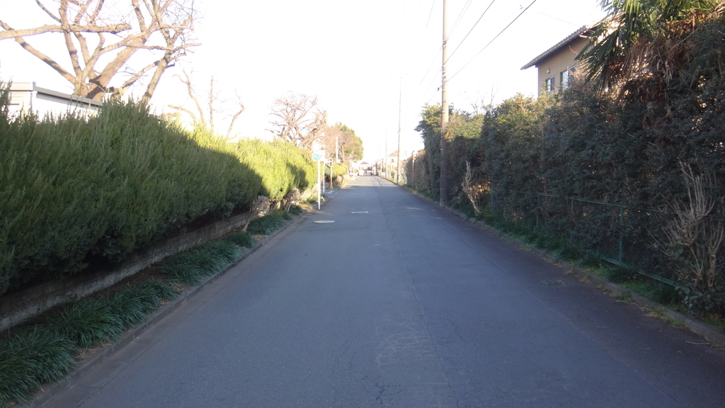 f:id:cafelegume:20190225002108j:plain