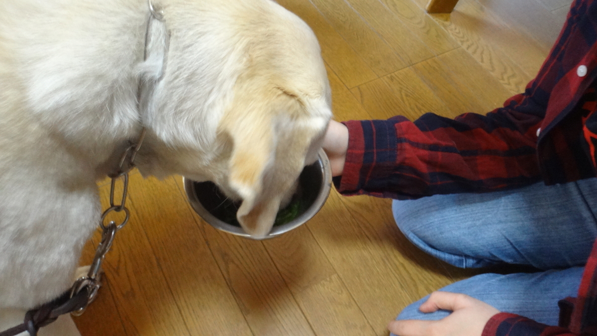 f:id:cafelegume:20190403215717j:plain f:id:cafelegume:20190403215717j:plain