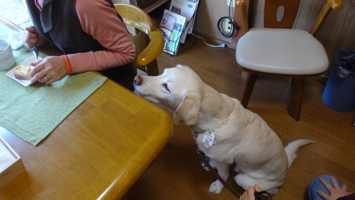 f:id:cafelegume:20190403222820j:plain f:id:cafelegume:20190403222820j:plain
