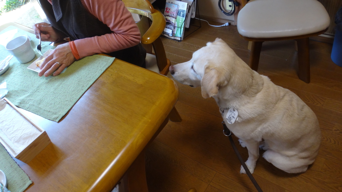f:id:cafelegume:20190403223202j:plain f:id:cafelegume:20190403223202j:plain