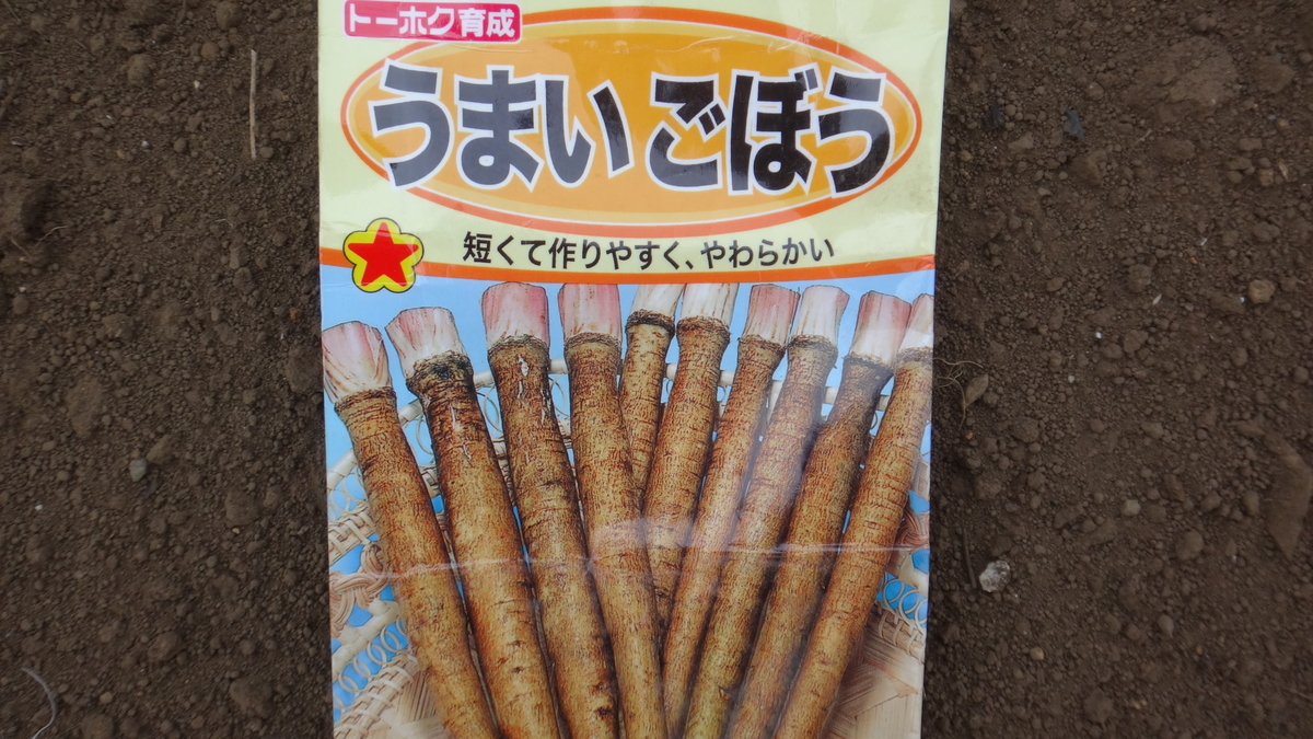 f:id:cafelegume:20190405222220j:plain