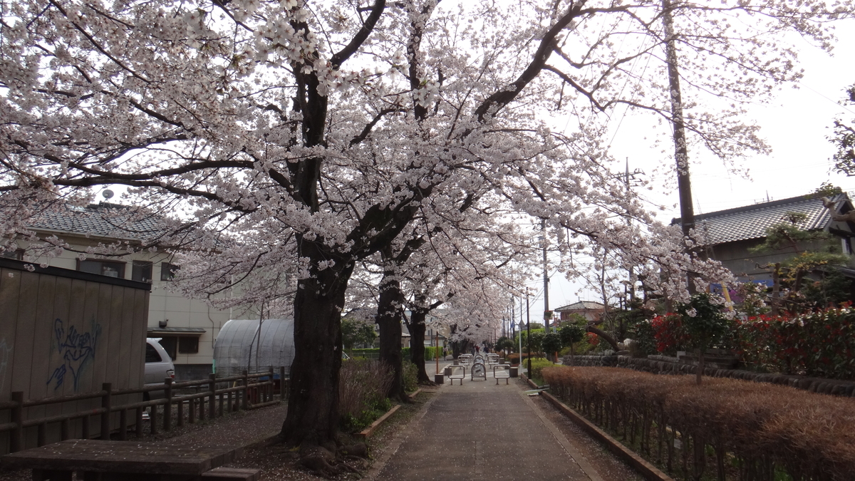 f:id:cafelegume:20190407191456j:plain f:id:cafelegume:20190407191456j:plain