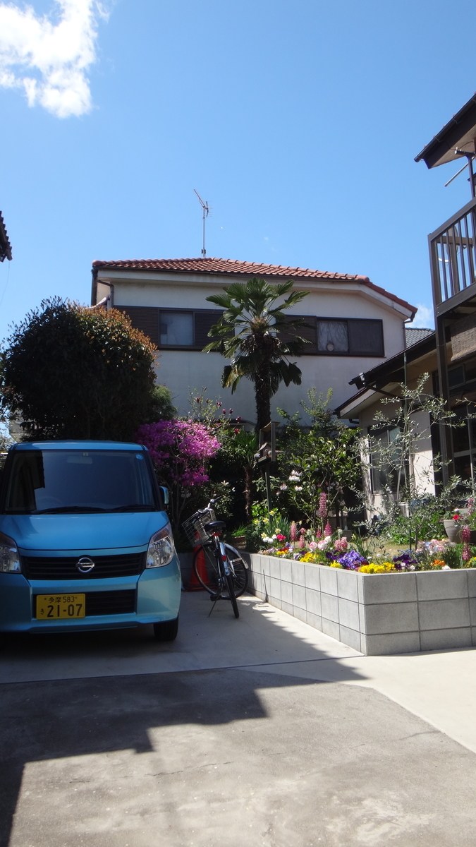 f:id:cafelegume:20190409210225j:plain