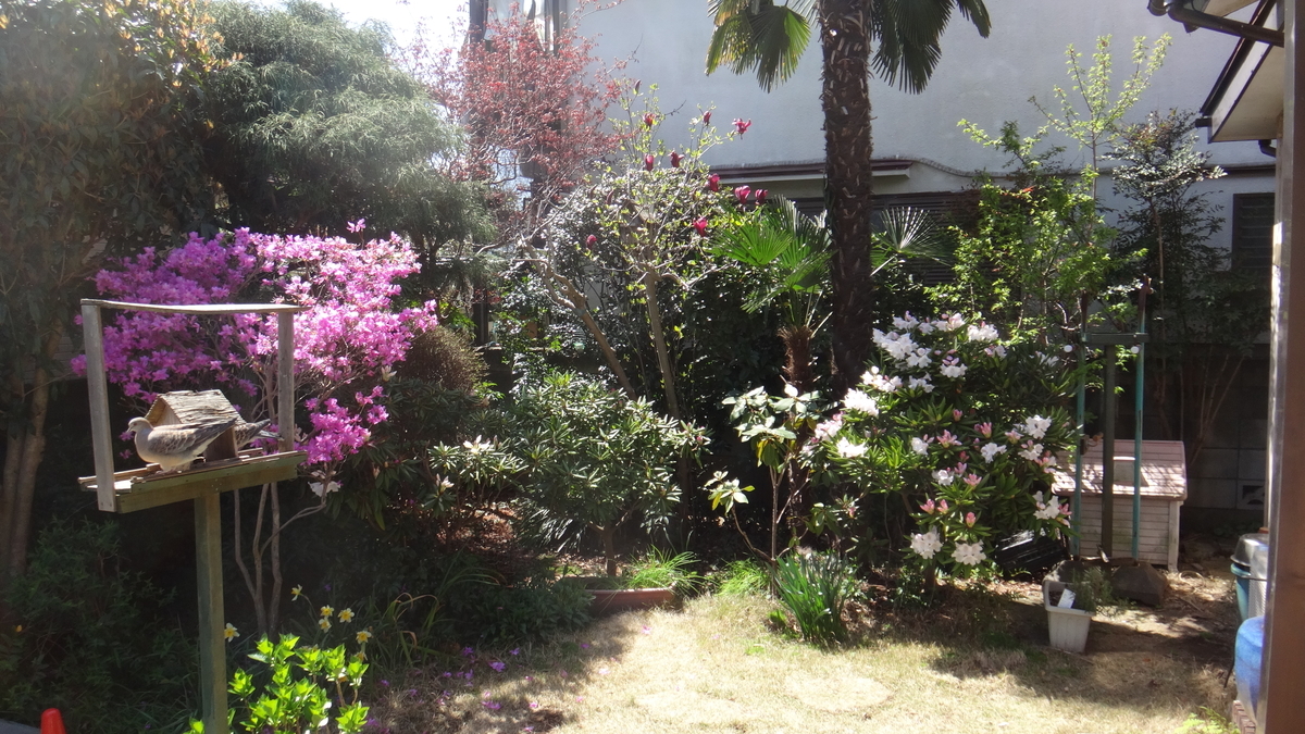 f:id:cafelegume:20190409211059j:plain