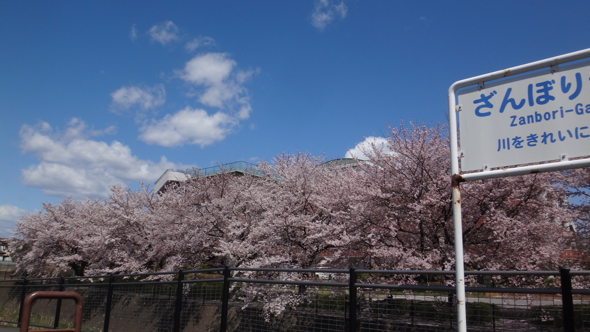f:id:cafelegume:20190409215442j:plain