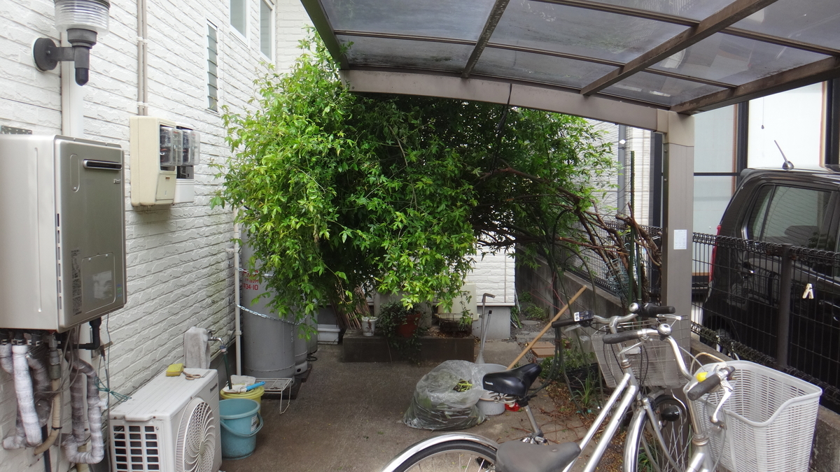 f:id:cafelegume:20190413221217j:plain