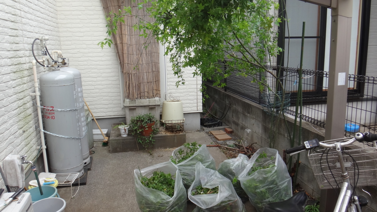 f:id:cafelegume:20190413224012j:plain
