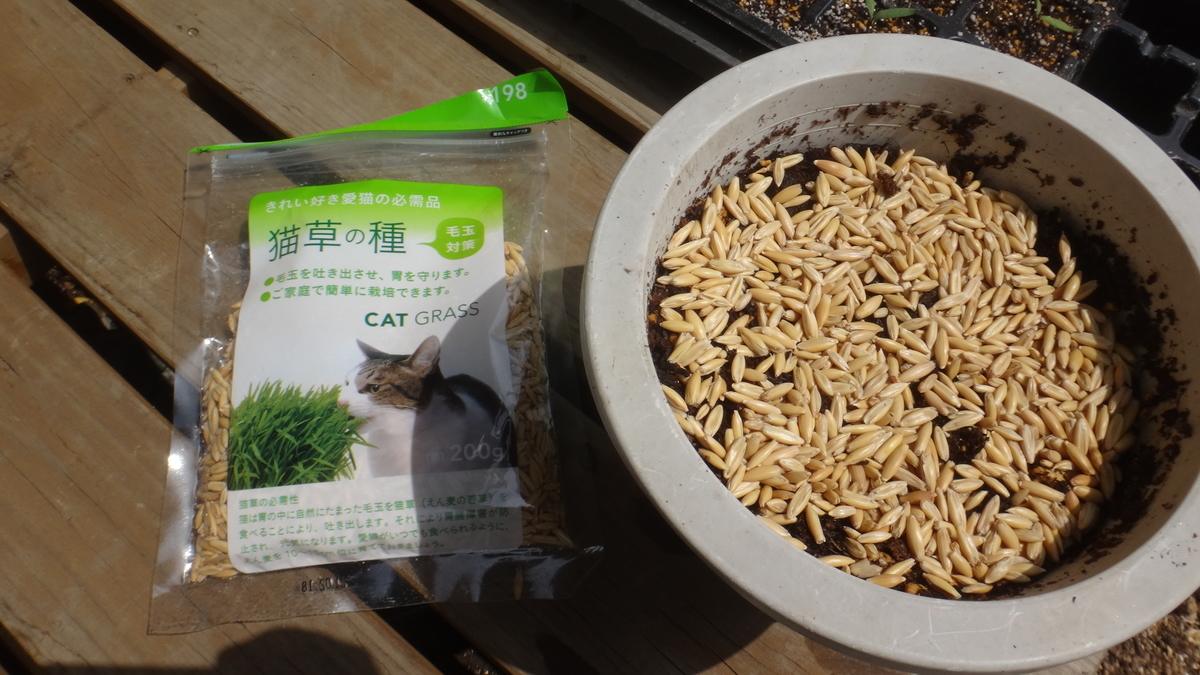 f:id:cafelegume:20190420235907j:plain