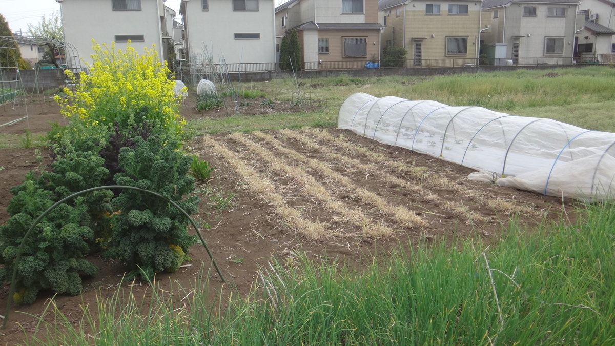 f:id:cafelegume:20190421203706j:plain