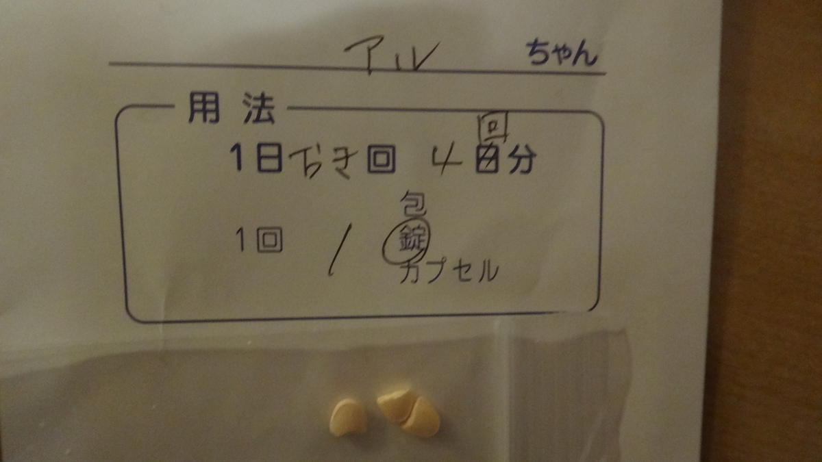 f:id:cafelegume:20190428202122j:plain
