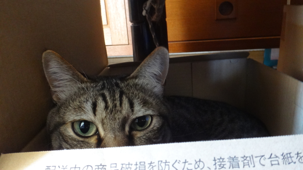 f:id:cafelegume:20190430223828j:plain