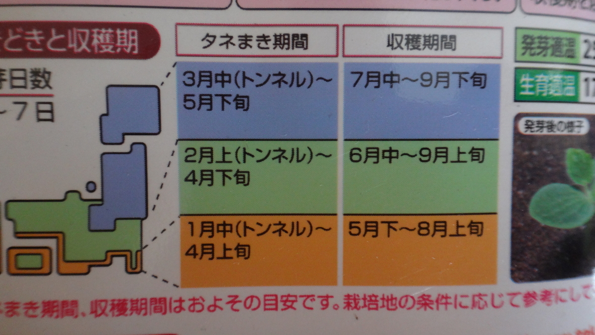 f:id:cafelegume:20190502204919j:plain
