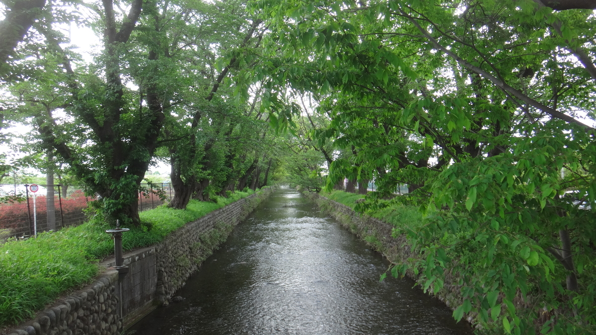 f:id:cafelegume:20190504223837j:plain