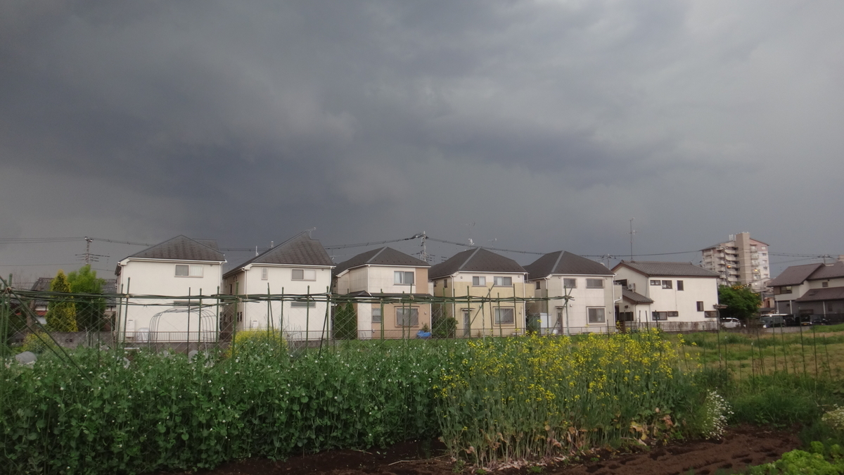 f:id:cafelegume:20190504233403j:plain