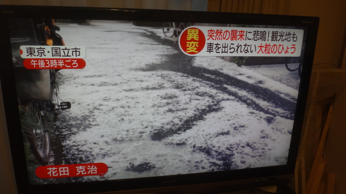 f:id:cafelegume:20190504233717j:plain