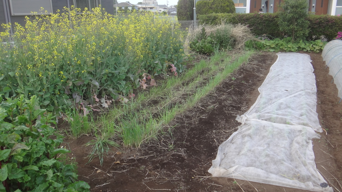 f:id:cafelegume:20190507022230j:plain