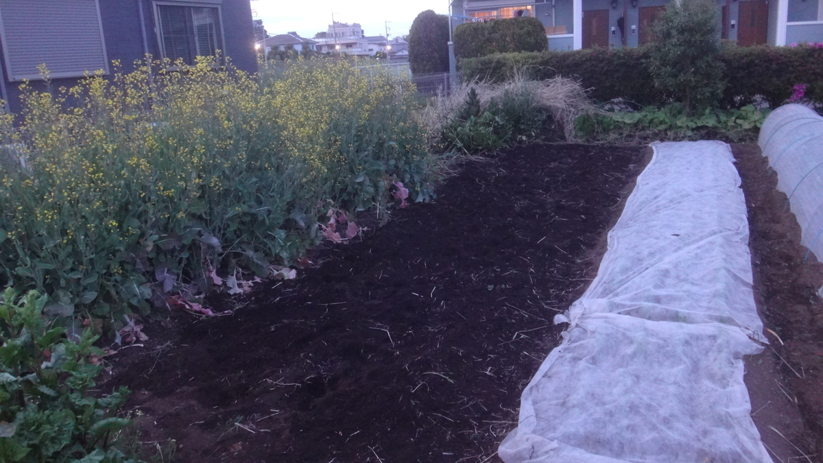 f:id:cafelegume:20190507023610j:plain