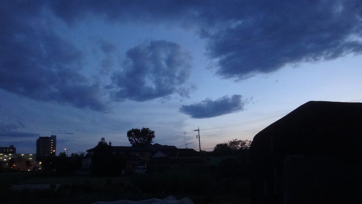 f:id:cafelegume:20190507024010j:plain