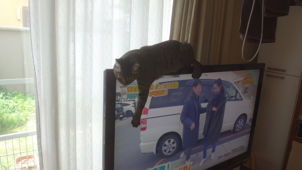 f:id:cafelegume:20190507024445j:plain