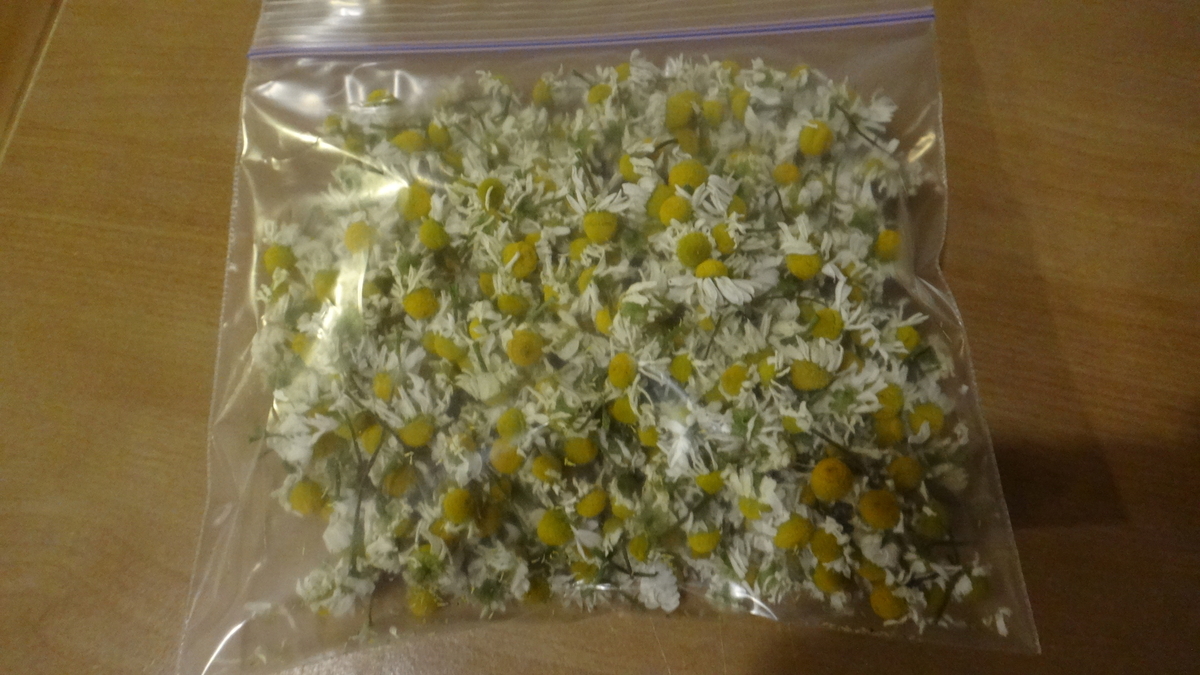 f:id:cafelegume:20190507215232j:plain