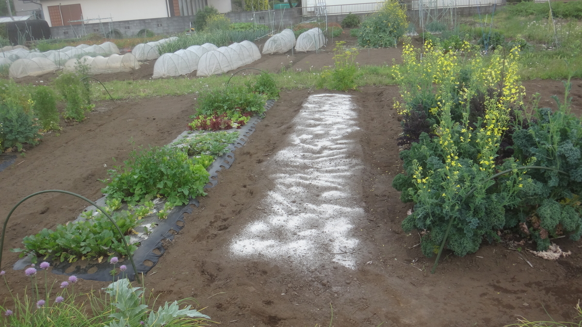 f:id:cafelegume:20190509222000j:plain