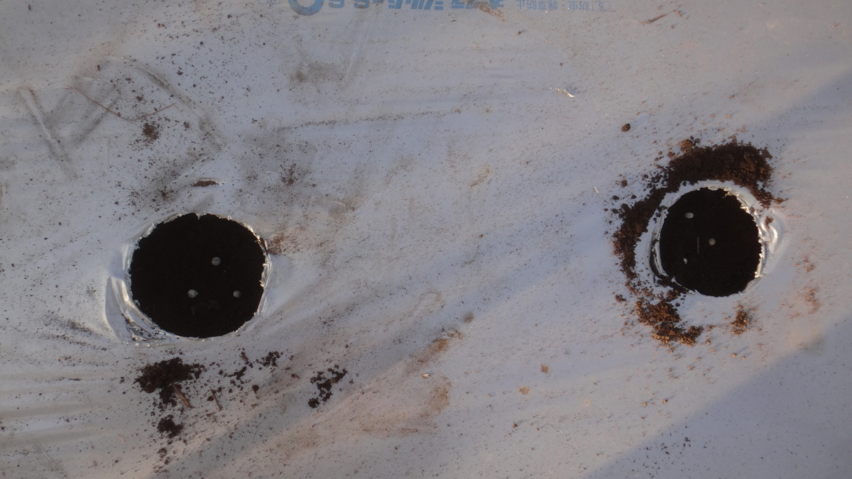 f:id:cafelegume:20190509224531j:plain