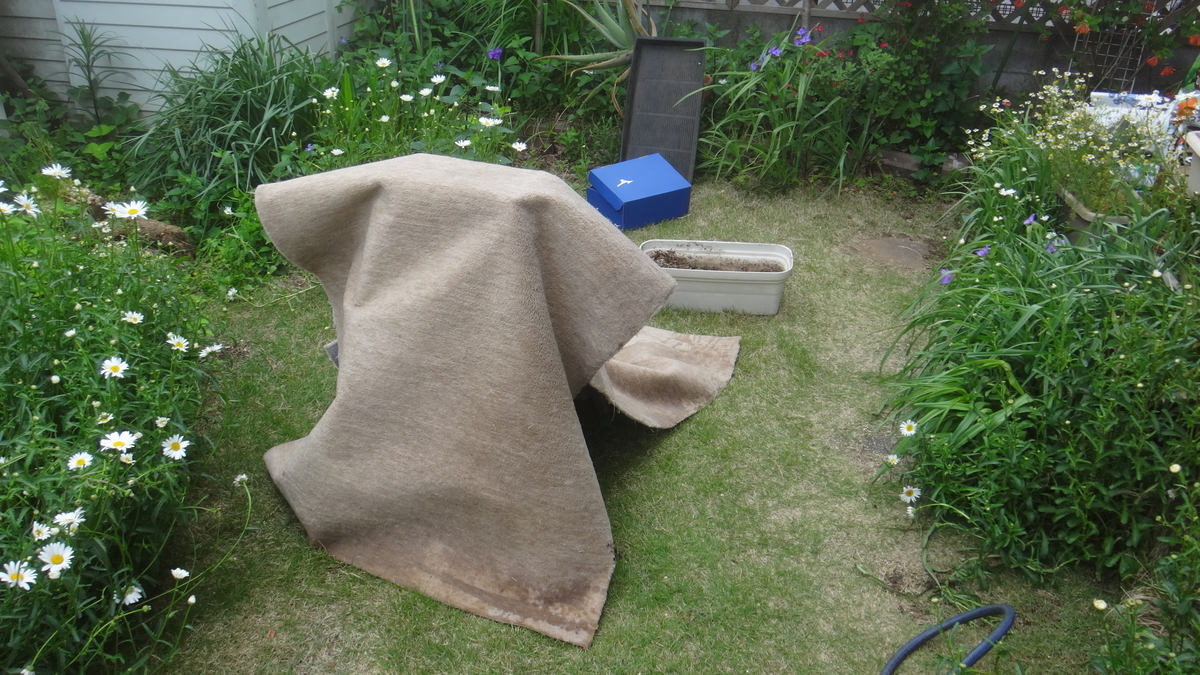 f:id:cafelegume:20190510233024j:plain