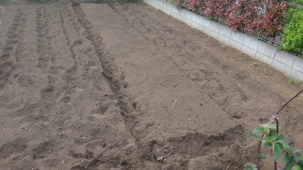 f:id:cafelegume:20190511005434j:plain