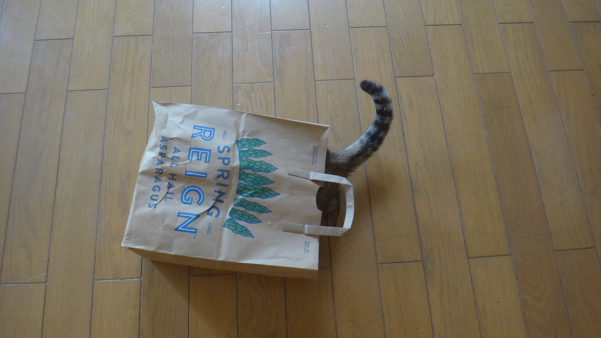 f:id:cafelegume:20190511221901j:plain