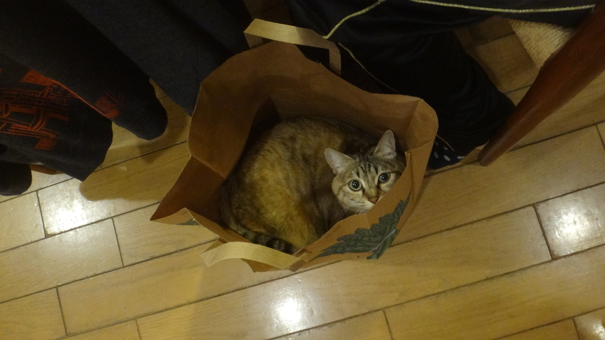 f:id:cafelegume:20190511222129j:plain