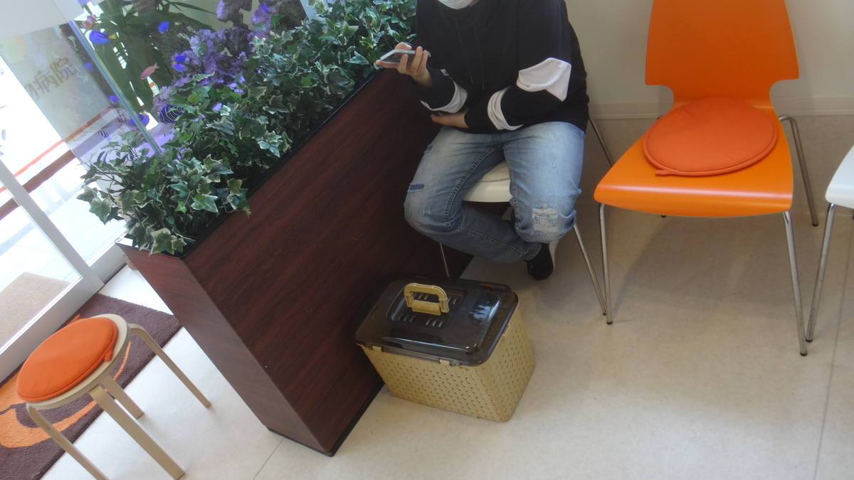 f:id:cafelegume:20190511223257j:plain