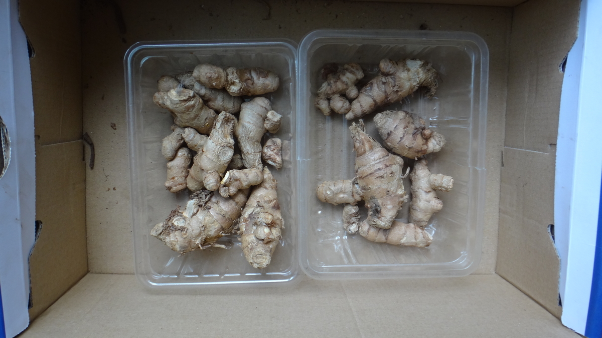 f:id:cafelegume:20190518232911j:plain