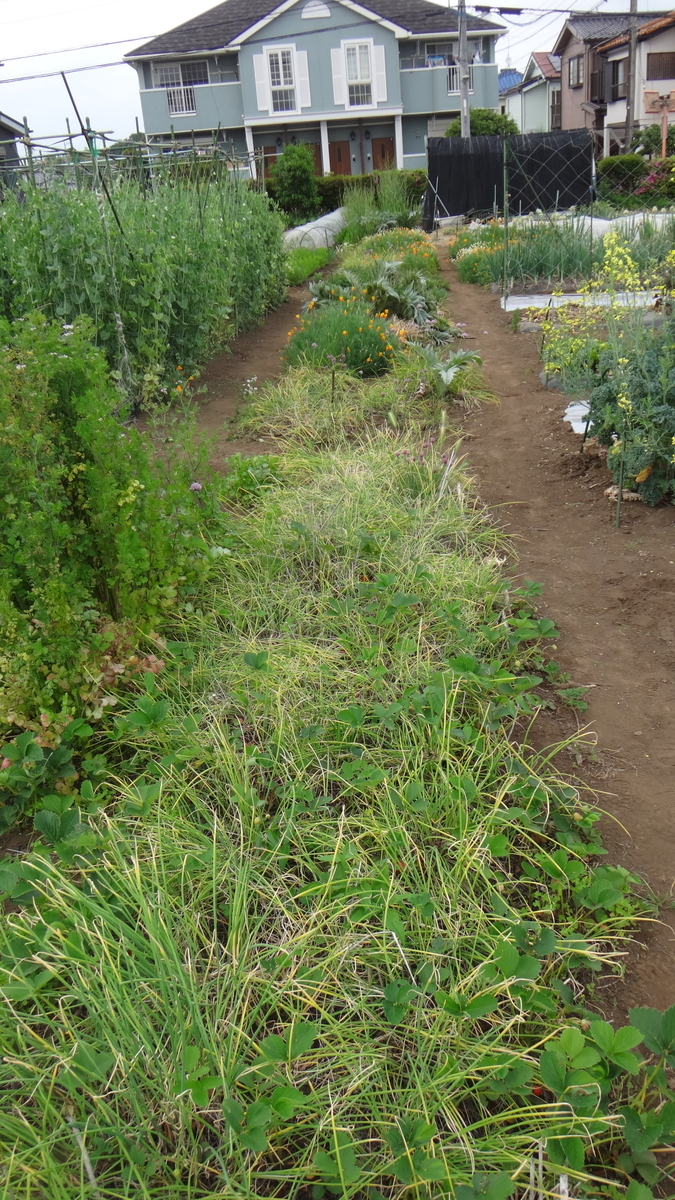 f:id:cafelegume:20190518233543j:plain