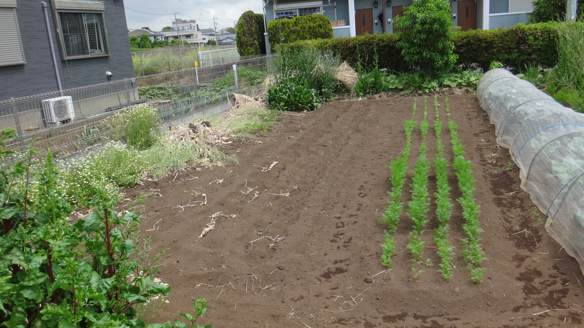 f:id:cafelegume:20190521214638j:plain