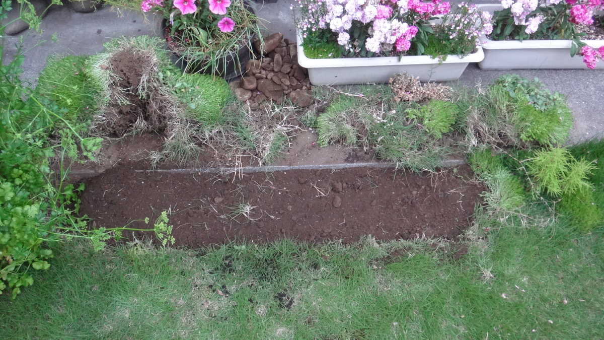 f:id:cafelegume:20190522002856j:plain f:id:cafelegume:20190522002856j:plain