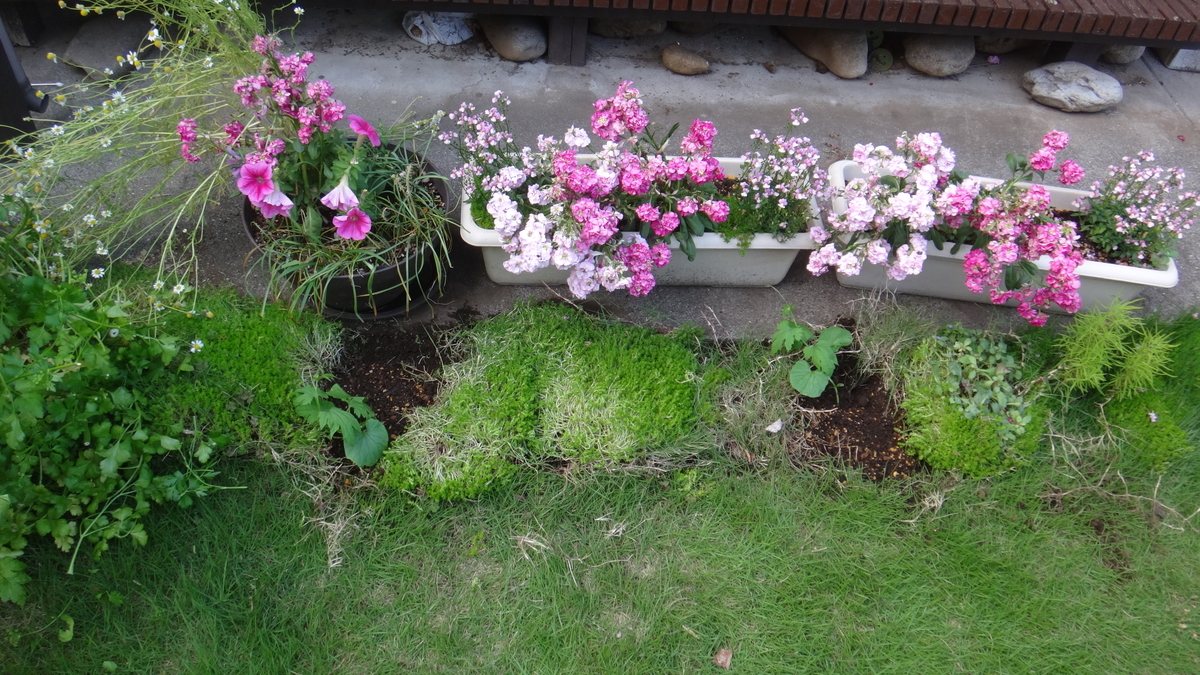 f:id:cafelegume:20190522223411j:plain
