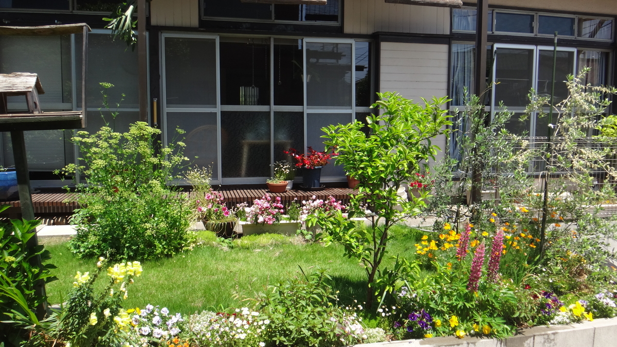 f:id:cafelegume:20190528002353j:plain