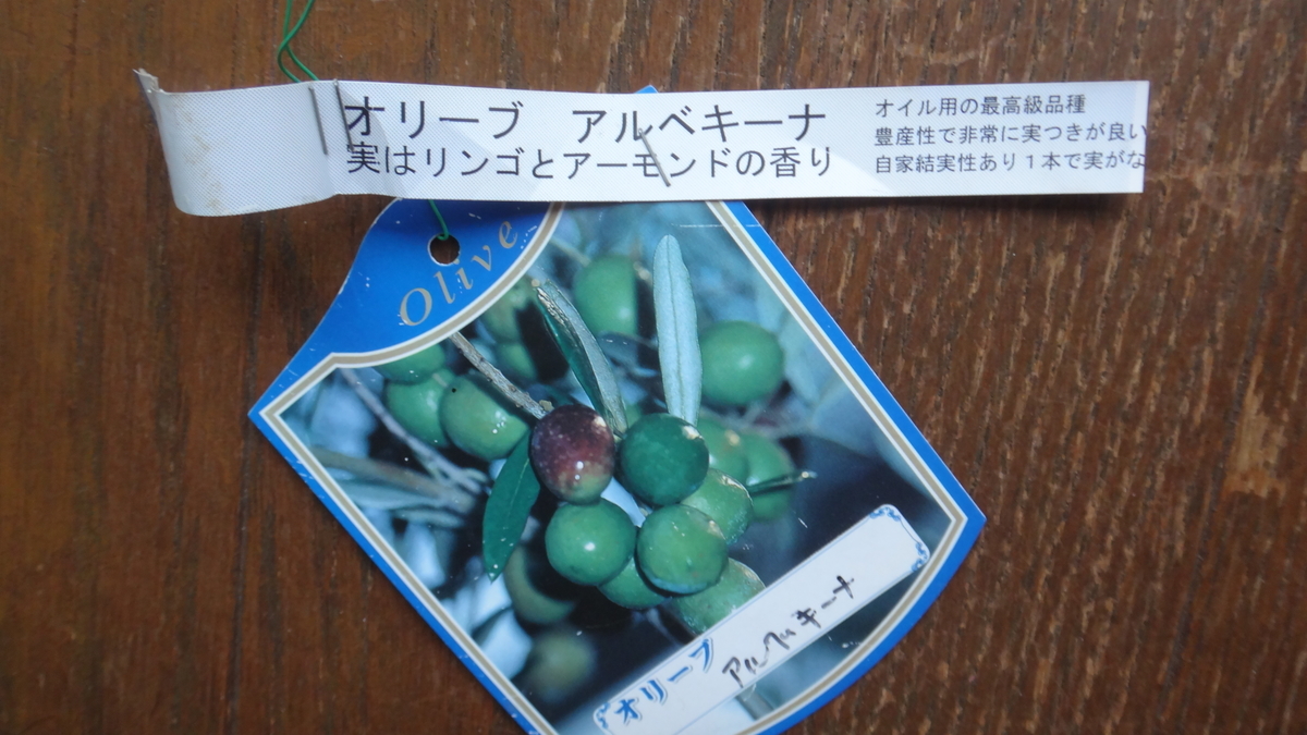f:id:cafelegume:20190528220619j:plain