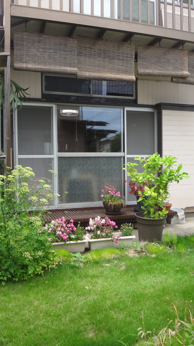 f:id:cafelegume:20190528222923j:plain