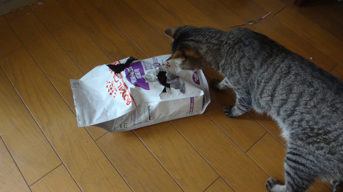 f:id:cafelegume:20190630220115j:plain f:id:cafelegume:20190630220115j:plain