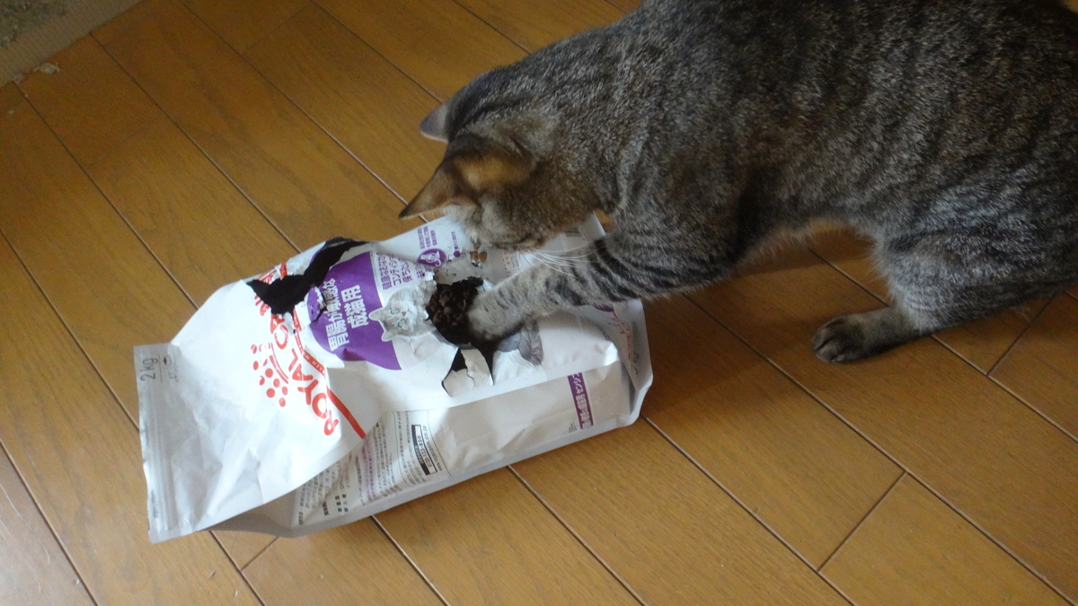 f:id:cafelegume:20190630220431j:plain f:id:cafelegume:20190630220431j:plain
