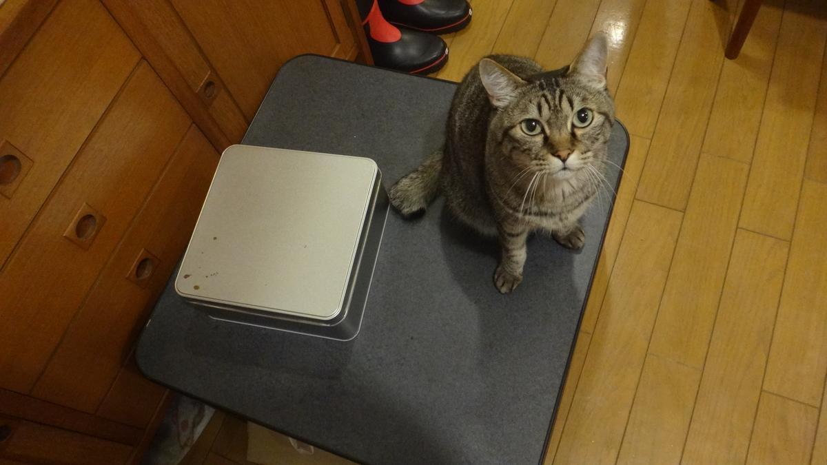 f:id:cafelegume:20190630220739j:plain f:id:cafelegume:20190630220739j:plain