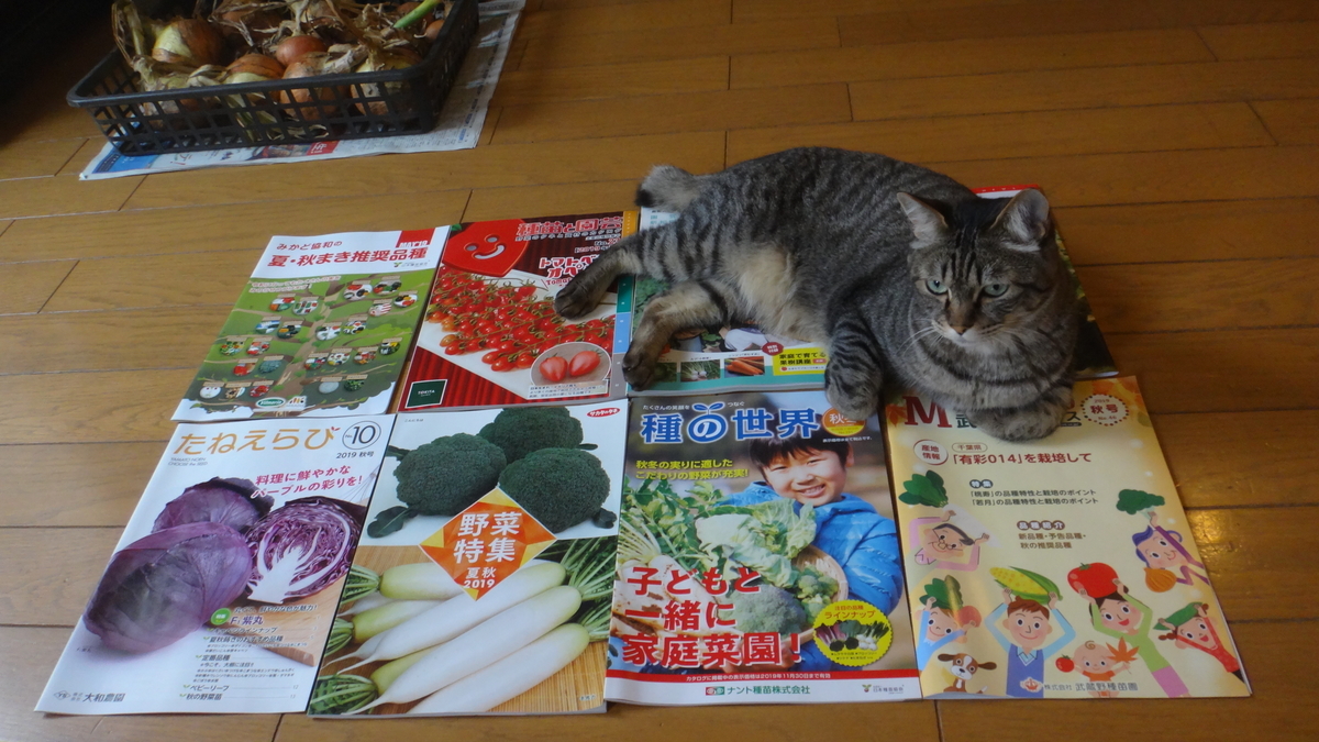 f:id:cafelegume:20190701222113j:plain