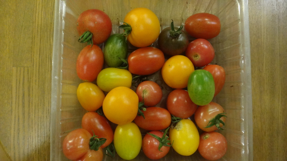 f:id:cafelegume:20190709002423j:plain