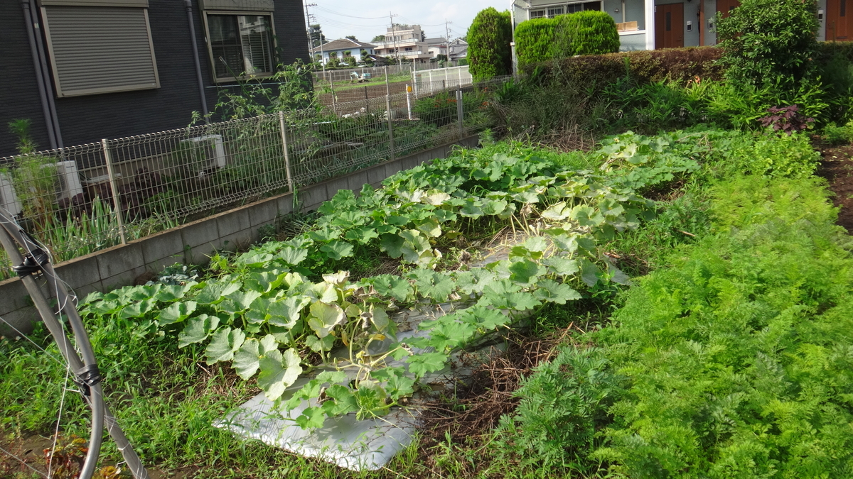 f:id:cafelegume:20190717222126j:plain
