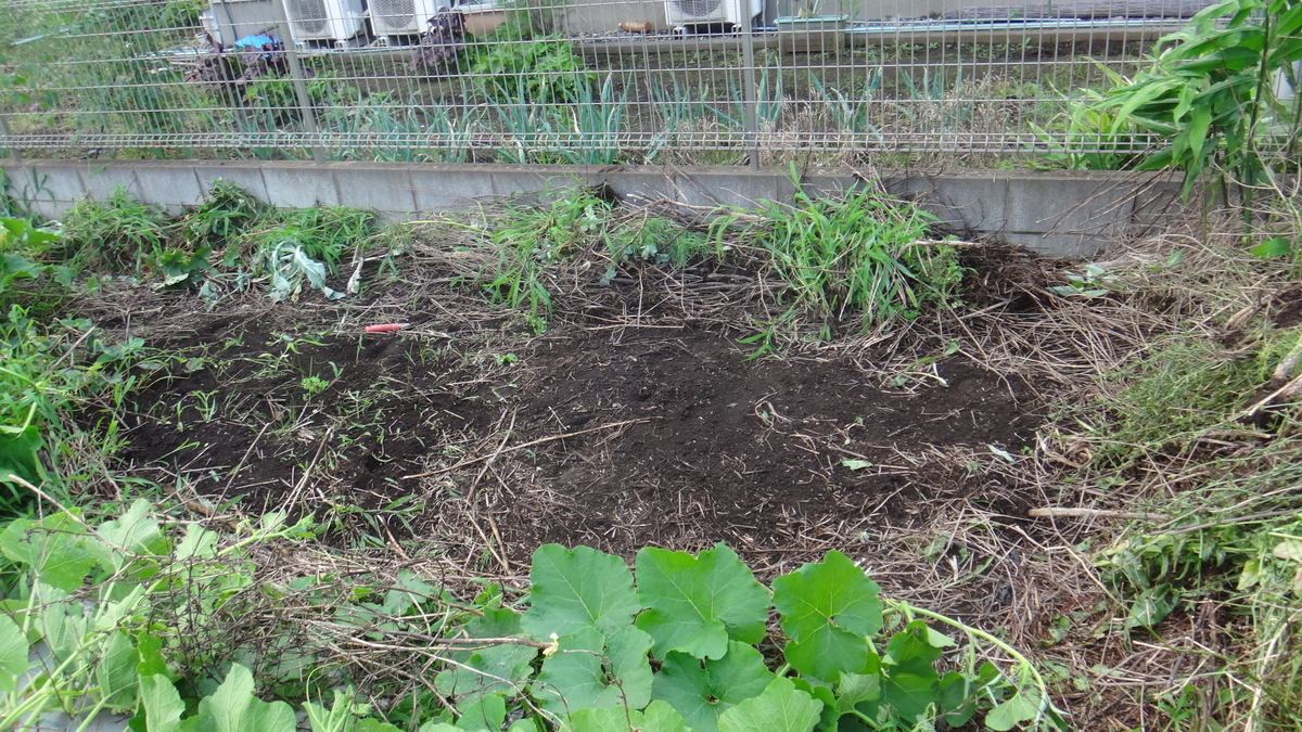 f:id:cafelegume:20190717222425j:plain